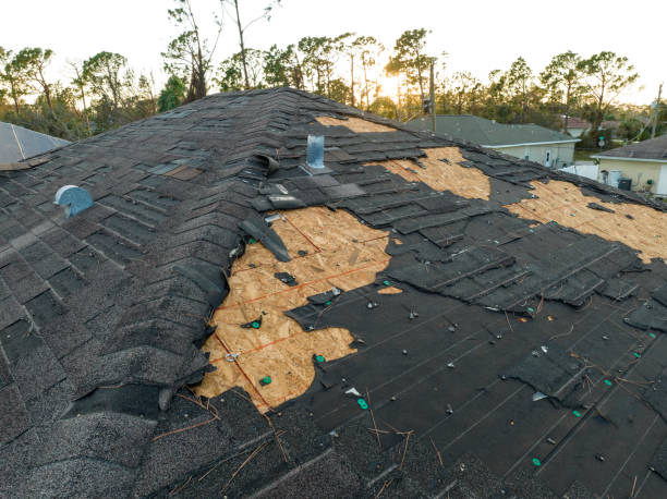 Professional Roofing Service  in Seminole Manor, FL